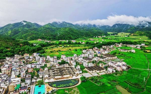 1719825735523630.jpg 1 (1).jpg