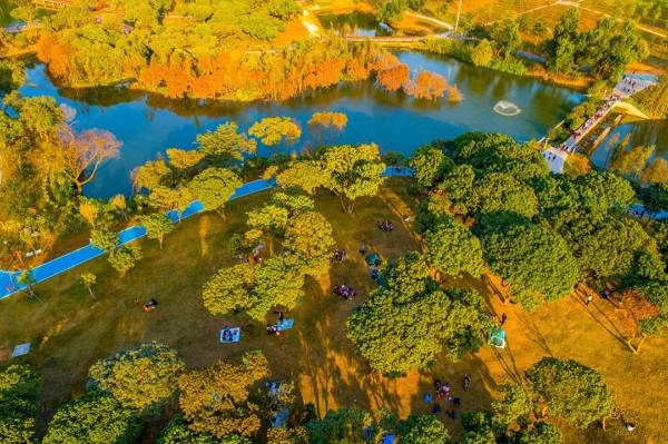 1719825785768910.jpg 4 (1).jpg