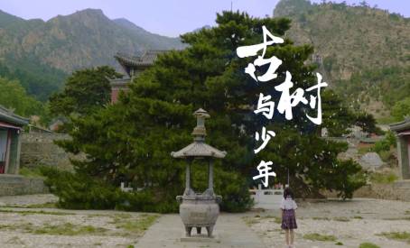 1719911028204308.png 1 (1).png