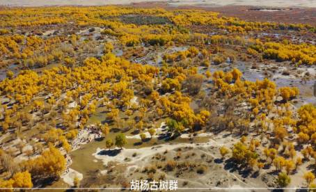 1719911035998572.png 3 (1).png