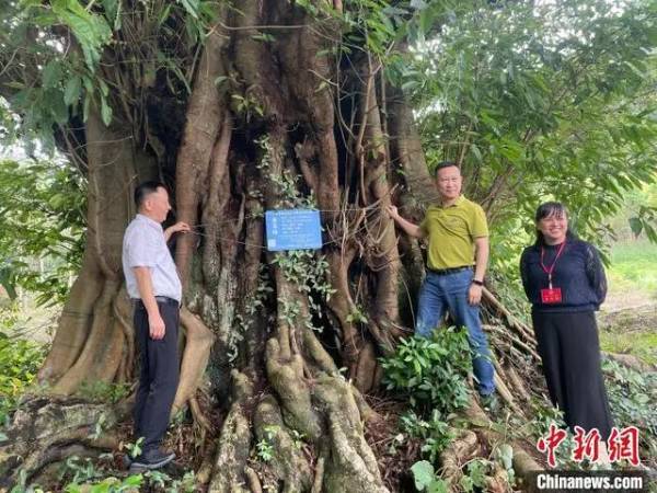 1719984604554254.jpg 1 (1).jpg