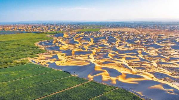 1720080771301836.jpg 5.jpg