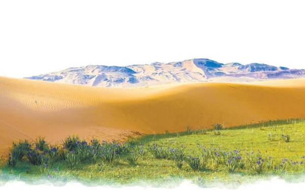 1720080857213757.jpg 1.jpg