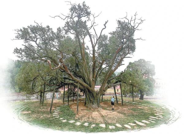 1720140210808321.jpg 1.jpg