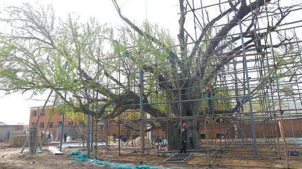 1720140250989316.jpg 1720140250989316.jpg