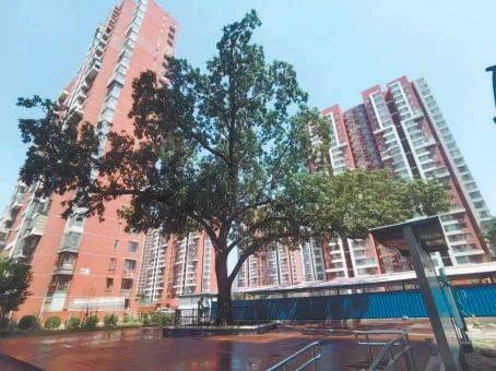 1720140348844479.jpg 1720140348844479.jpg