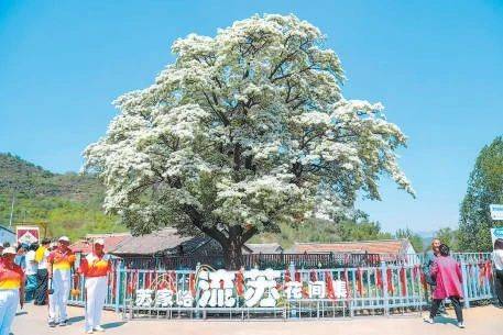 1720140379592211.jpg 1720140379592211.jpg