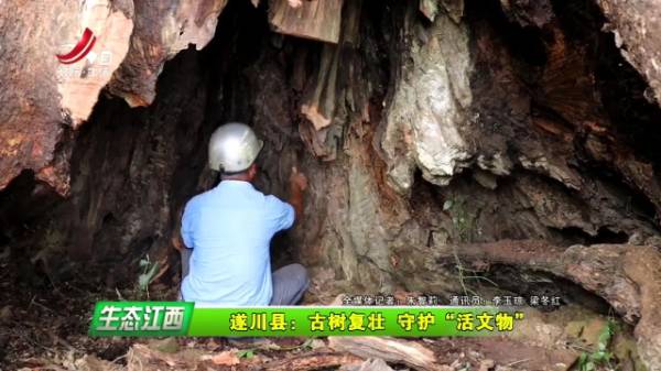 1720141210857509.jpg 1.jpg