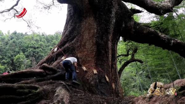 1720141218779729.jpg 2.jpg