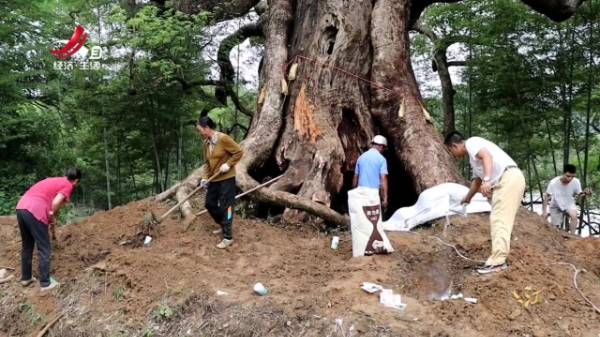 1720141223193049.jpg 3.jpg