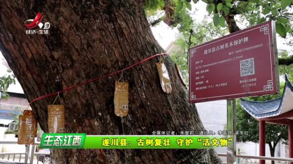 1720141232778019.jpg 4.jpg