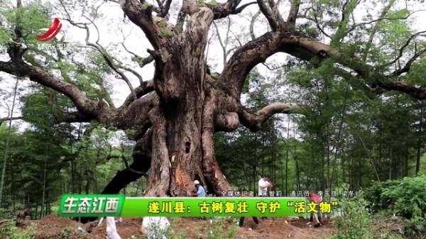 1720141238596097.jpg 5.jpg