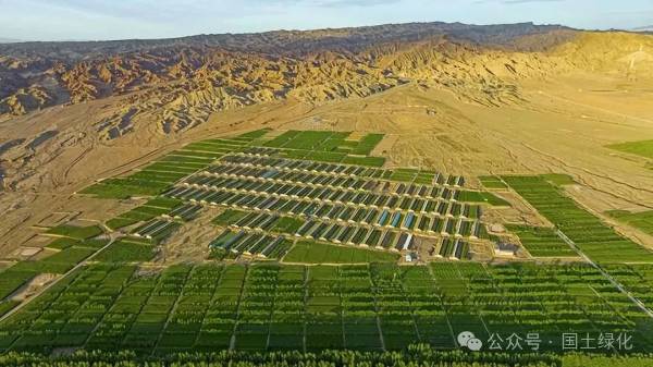 1720164386864183.jpg 3 (1).jpg