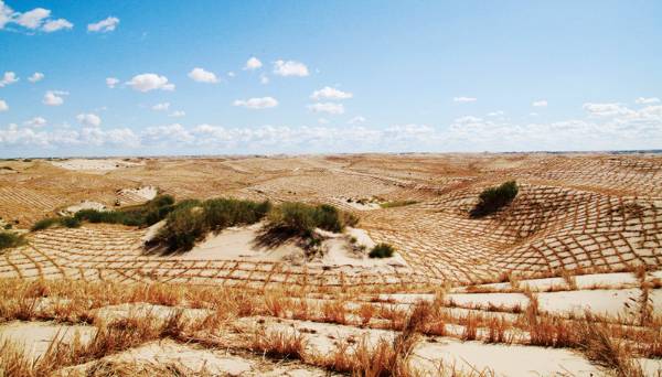 1720662321373111.jpg 2 (1).jpg