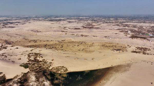 1720662501982345.jpg 4 (1).jpg