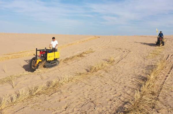 1720663257399002.jpg 2 (1).jpg