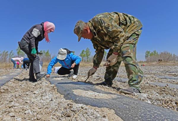 1720663264939767.jpg 3 (1).jpg