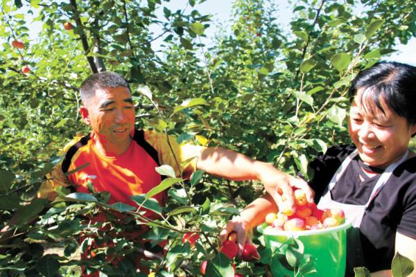 1720666427560634.jpg 1 (1).jpg