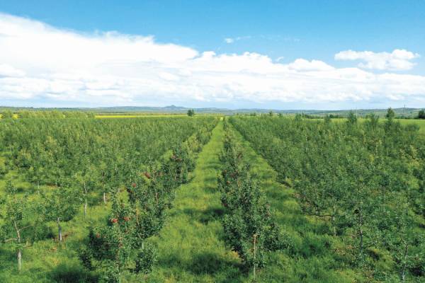 1720666441213948.jpg 2 (1).jpg