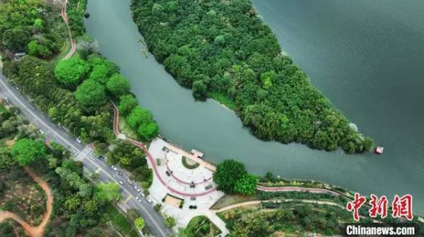 1721014279206973.jpg 2 (1).JPG