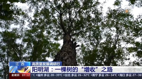 1721097484987277.jpeg 1.jpeg