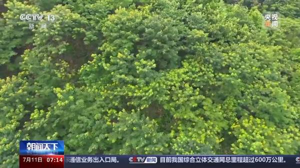 1721097512744551.jpeg 5.jpeg