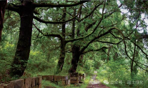 1721284556131775.png 1 (1).png