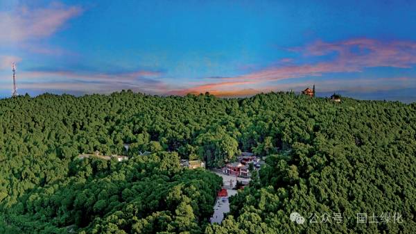 1721284563803001.png 2 (1).png