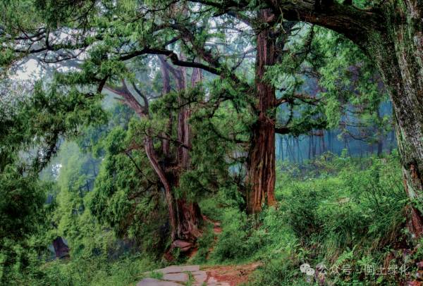 1721284572167721.png 3 (1).png