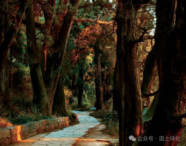 1721284582145995.png 4 (1).png