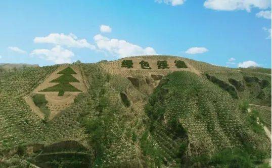 1721618842172610.jpeg 640.jpeg