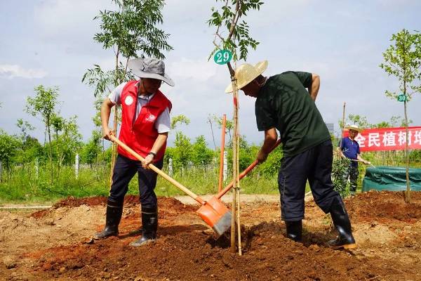 1721625644721796.jpeg 111 (1).jpeg