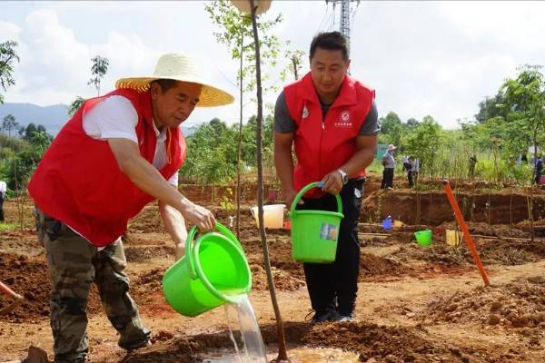 1721625652580877.jpeg 222 (1).jpeg