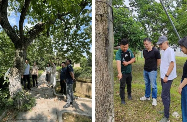 1721627141957975.jpg 1-.jpg