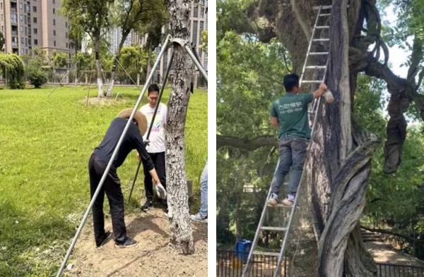 1721627152567988.jpg 2-.jpg