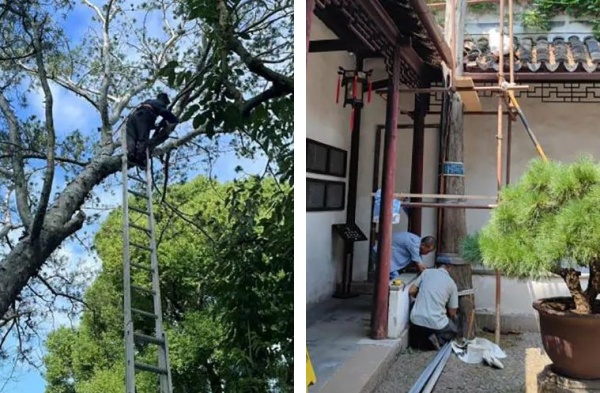 1721627157975934.jpg 3-.jpg