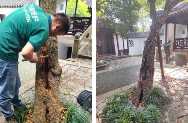 1721627295689998.jpg 5-.jpg