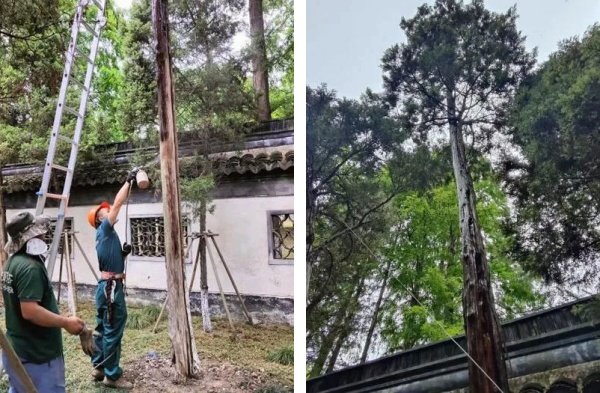 1721627306467909.jpg 未命名.jpg