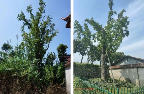 1721627313683929.jpg 未命名-.jpg