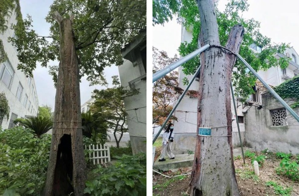 1721627323567467.jpg 8-.jpg