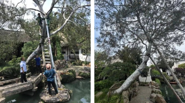 1721627398252852.jpg 未命名1.jpg