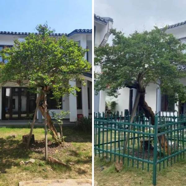 1721627491392777.jpg 未命名 (1).jpg