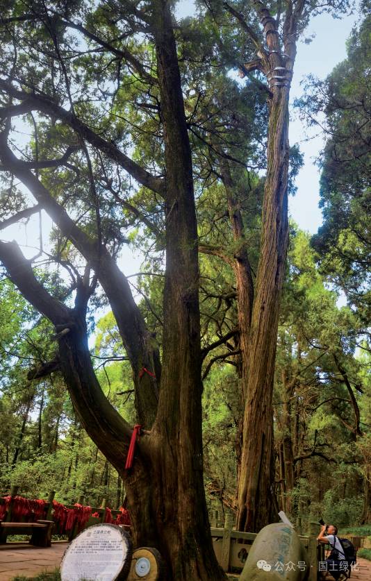 1721807644199261.png 1721807644199261.png