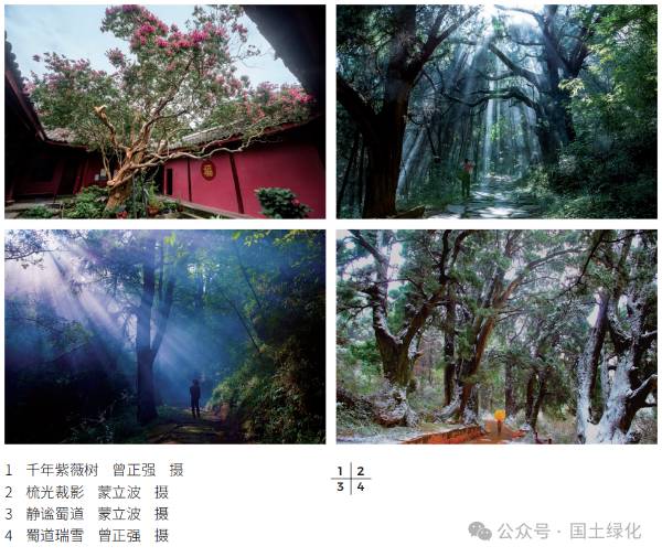 1721807656635240.png 2 (1).png