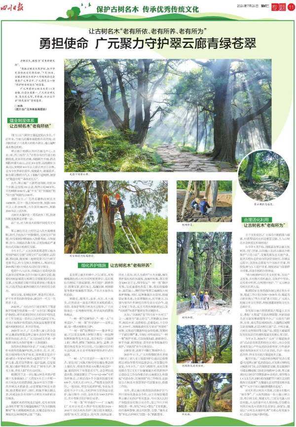 1721808315277235.jpg 7.jpg