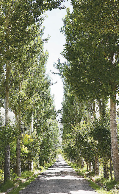 1721810169827366.jpg 222.jpg