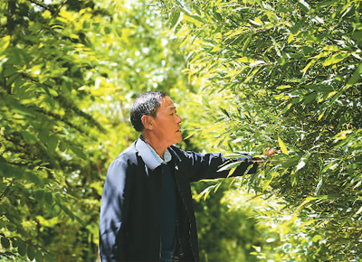 1721810178275655.jpg 333.jpg