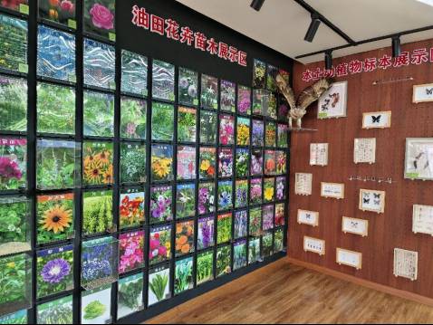 1722413871574767.png 1722413871574767.png