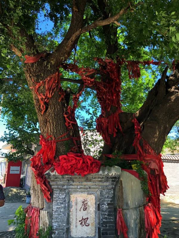 1722820642158550.jpg 2d6e31c7d4914a0b89351fbbd41a95b7 (1).jpg