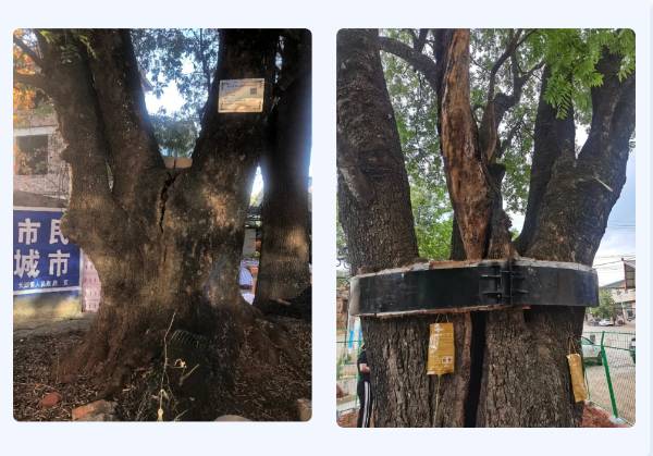 1722827214472397.png 微信图片_20240805110608 (1).png